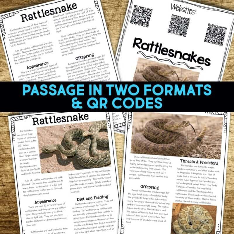 Rattlesnake2 rattlesnake reading passages