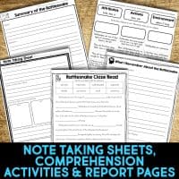 rattlesnake worksheets