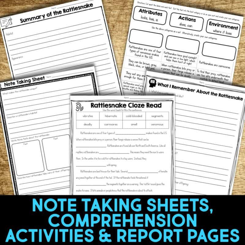 Rattlesnake3 rattlesnake worksheets