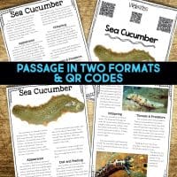 sea cucumber passages.