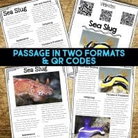 sea slug passages.