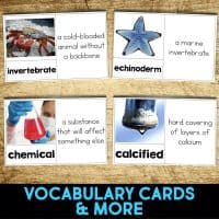 sea star vocabulary cards.