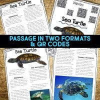 sea turtle passages.