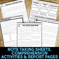 sea turtle note taking sheets.