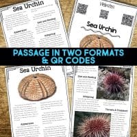 sea urchin passages.