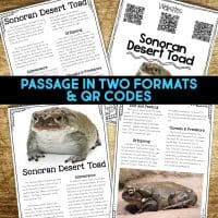 sonoran desert toad reading passages