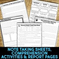 sonoran desert toad worksheets