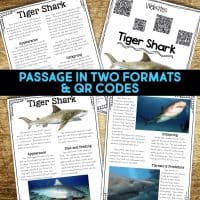 tiger shark passage pages.