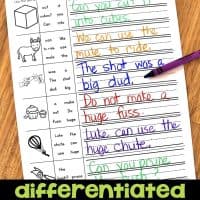 mixed VCE activity sheet.