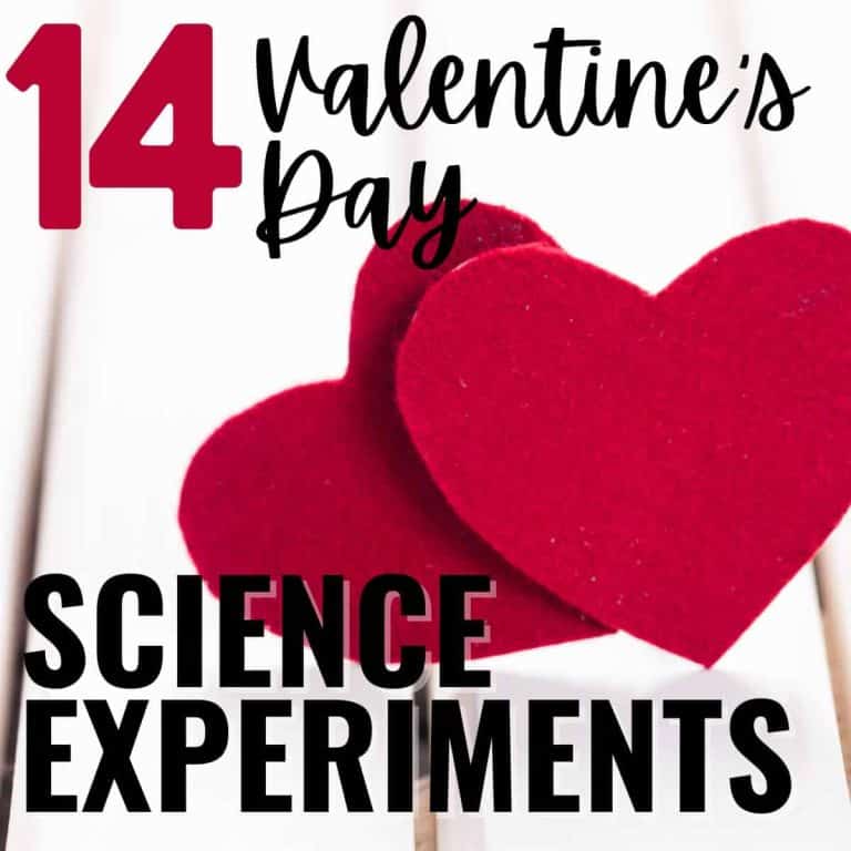 Two red felt hearts on a white wooden background with the text “14 Valentine’s Day Science Activities” in bold red and black letters, showcasing creative and fun valentines day science experiments to celebrate love and learning.