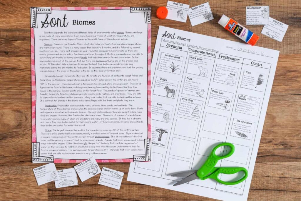 Animals in Biomes Activity: Sort Plants & Animals (3rd Grade) 4 The Biomes Sort and Passage includes a reading passage, a worksheet with columns for Savanna, Temperate Forest, Freshwater, and Ocean, cut-out images, and classroom supplies like green scissors and a glue stick on a wooden surface.