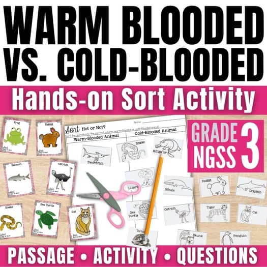 Warm-Blooded vs. Cold-Blooded Animals: A Sorting Activity for 3rd Grade 6 A 3rd grade activity where students sort warm-blooded vs cold-blooded animal cards, use scissors and pencils, and complete worksheets with colorful text highlighting the passage, activity, and questions.