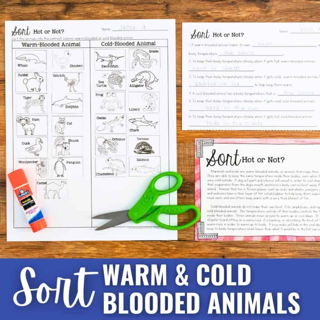 A worksheet about sorting Warm-Blooded Vs. Cold-Blooded Animals sits on a table with a green pair of scissors, an orange glue stick, and several related activity sheets. The title reads: Sort Warm & Cold Blooded Animals.