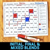 Fun and engaging phonics partner games that help students practice decoding words with blends. Phonics patterns include final blends, initial blends, words with CK, NG, and NK. Includes games with words and sentences. There are 8 games used with four sets of words that increase in complexity. Words are grouped by sound as well as mixed all together. Games include word-reading and sentence-reading. Great for first and second grade students and parents!
