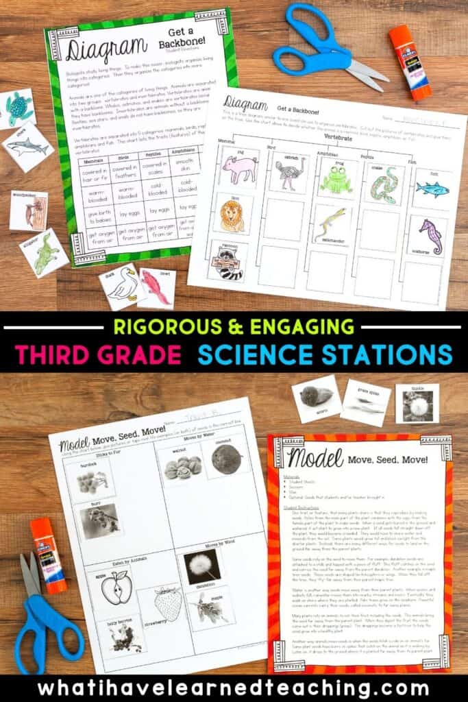 Third Grade Science Stations that cover all of the Next Generation Science Standards. They include teacher notes, lesson plans, and promote engaging and deep science learning in your elementary classroom. Also included are digital resources for online learning. These science centers cover all 3rd grade science topics.