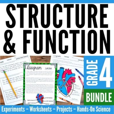 structure & function cover.
