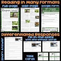 The Food Webs & Ecosystems Science Station UNIT BUNDLE offers diverse 5th grade science resources, featuring full- and half-page articles, Google Forms, fill-in-the-blank and short answer sheets, plus task cards for differentiated instruction.