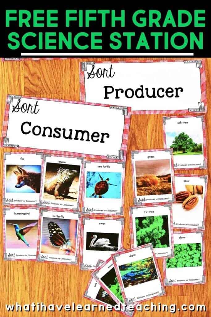 Free Science Sorting Activity for 2nd, 3rd, 4th and 5th Grades 33 FREE fifth-grade science station that follows the Next Generation Science Standards.