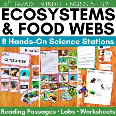 Ecosystem & food web cover.