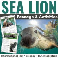 Sea lion cover.