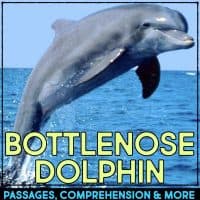 A bottlenose dolphin leaps from the blue ocean water. Large yellow text reads Bottlenose Dolphin, with blue text below showing Dolphin Comprehension Reading Passage & Activities.