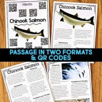 Four educational pages from Dolphin Comprehension Reading Passage & Activities are shown on wood, featuring Chinook salmon images, text passages, QR codes, and the heading "PASSAGE IN TWO FORMATS & QR CODES" to support comprehension activities.