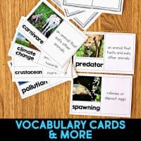 Dolphin Comprehension Reading Passage & Activities includes vocabulary cards with animal terms and definitions, plus color photos of animals like wolves, fish, and a lion. Cards are spread on wood. "VOCABULARY CARDS & MORE" appears at the bottom.
