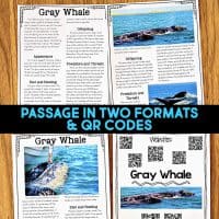 Four worksheet pages from the Dolphin Comprehension Reading Passage & Activities are displayed on wood, featuring text, dolphin photos, and QR codes—great for comprehension activities. A blue banner highlights “PASSAGE IN TWO FORMATS & QR CODES.”.