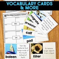 The Dolphin Comprehension Reading Passage & Activities features whale-themed vocabulary cards and worksheets with words like “migrate,” “predator,” and “baleen”—each shown with definitions and photos on a wooden surface.
