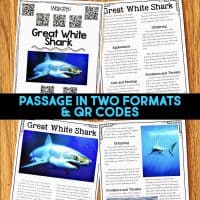 Three pages about dolphins, featuring text passages, color photos, and QR codes. A blue and black banner across the center reads: Dolphin Comprehension Reading Passage & Activities—great for comprehension practice.