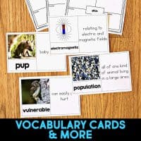 Three vocabulary cards—“pup” with a baby animal, “vulnerable” with an owl and definition, and “population” with penguins. Below: VOCABULARY CARDS & MORE—perfect for boosting skills in Dolphin Comprehension Reading Passage & Activities.