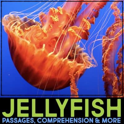 A vibrant orange jellyfish swims against a bright blue background. Below the image, bold green text reads Jellyfish with smaller text underneath saying Dolphin Comprehension Reading Passage & Activities.