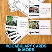 Vocabulary flashcards featuring words like carnivore, invertebrate, plankton, species, and nerves—each with definitions and images—are arranged on wood. Ideal for use with the Dolphin Comprehension Reading Passage & Activities.