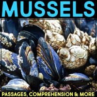 A close-up of blue and brown mussels, some with barnacles. Bold blue text at the top reads MUSSELS, while yellow text at the bottom says Dolphin Comprehension Reading Passage & Activities.