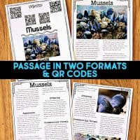 Dolphin Comprehension Reading Passage & Activities includes four educational worksheets with text, photos, QR codes, and sections like Offspring and Predators. Features passages in two formats—perfect for engaging comprehension practice.