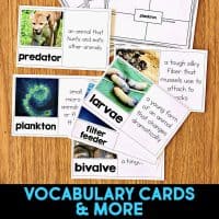 Several illustrated vocabulary cards from the Dolphin Comprehension Reading Passage & Activities are displayed on a wooden surface, showing words like predator and plankton with photos—ideal for reinforcing key terms. "VOCABULARY CARDS & MORE" appears in blue text below.