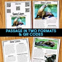 Dolphin Comprehension Reading Passage & Activities includes four pages with photos of dolphins, informative text, activities, and QR codes for related websites. Overlay text: PASSAGE IN TWO FORMATS & QR CODES.