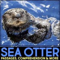 A sea otter floats on its back in the water, looking toward the camera. Text at the bottom reads: SEA OTTER & Dolphin Comprehension Reading Passage & Activities in blue and yellow letters.