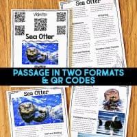 Four illustrated pages about sea otters are shown with text, photos, and QR codes. A blue banner reads: “PASSAGE IN TWO FORMATS & QR CODES.” Great companion to the Dolphin Comprehension Reading Passage & Activities.