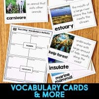 The Dolphin Comprehension Reading Passage & Activities includes sea otter vocabulary cards and activity sheets with words like carnivore, estuary, kelp forest, insulate, and marine mammal—plus definitions and images.