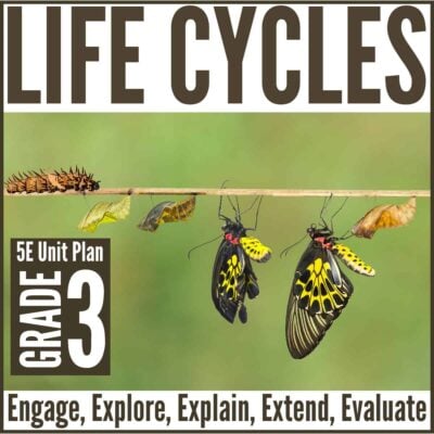 Life cycle cover.
