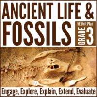 Ancient life cover.