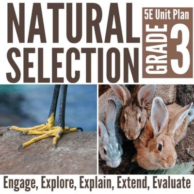 Natural selection cover.