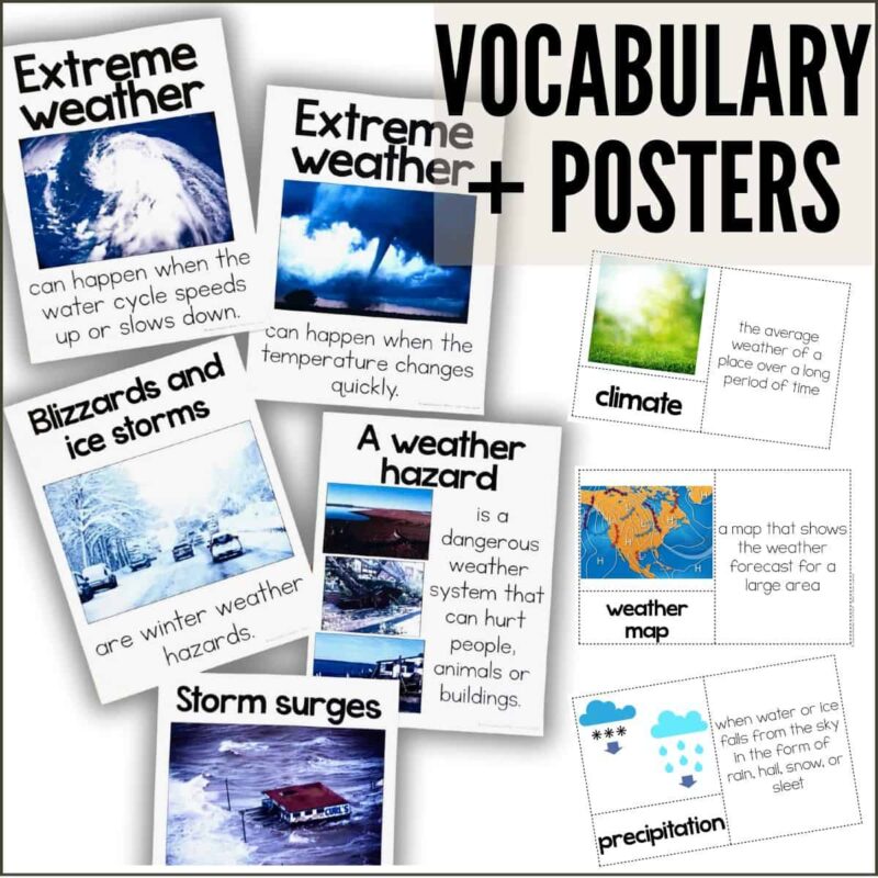 Environment & Traits 4 Environment & Traits thumb