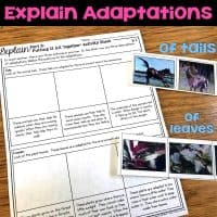 adaptations explain pages.