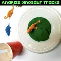 dinosaur tracks activity.