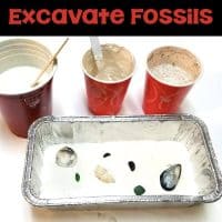 fossils activity.