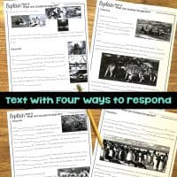 animal groups explain cloze read pages.