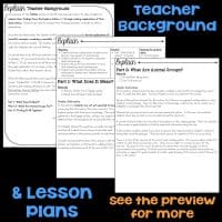 animal groups teacher background.