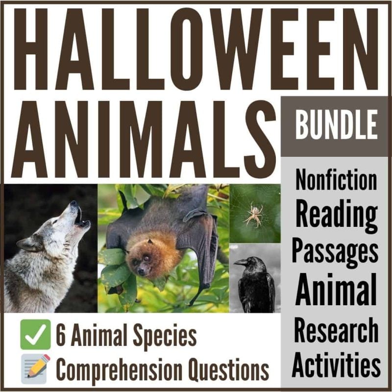 Halloween animal articles.